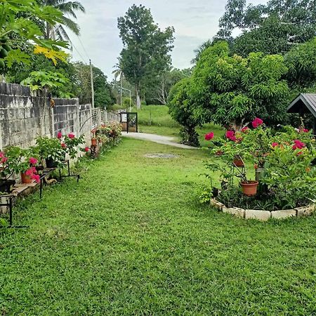 Guindulman Balai Mariacaria Pension House المظهر الخارجي الصورة