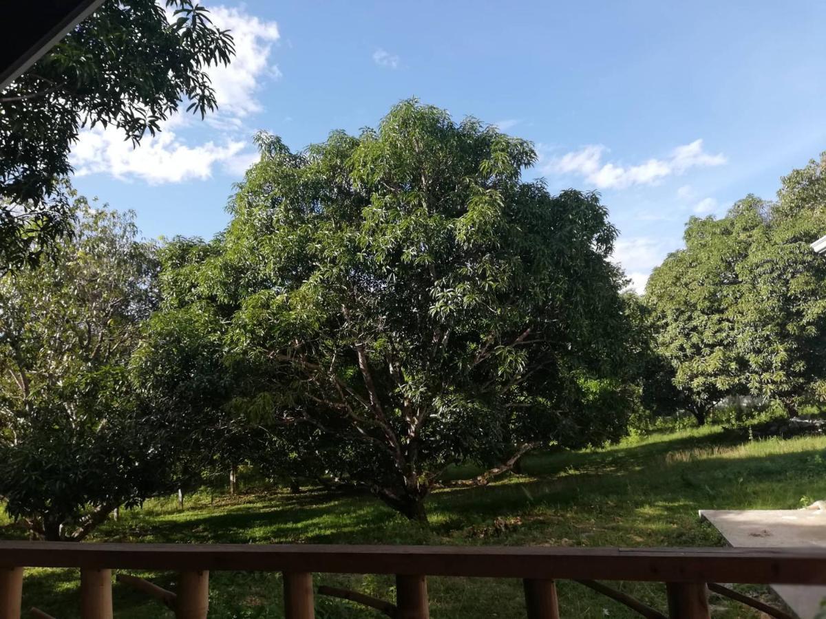Guindulman Balai Mariacaria Pension House المظهر الخارجي الصورة