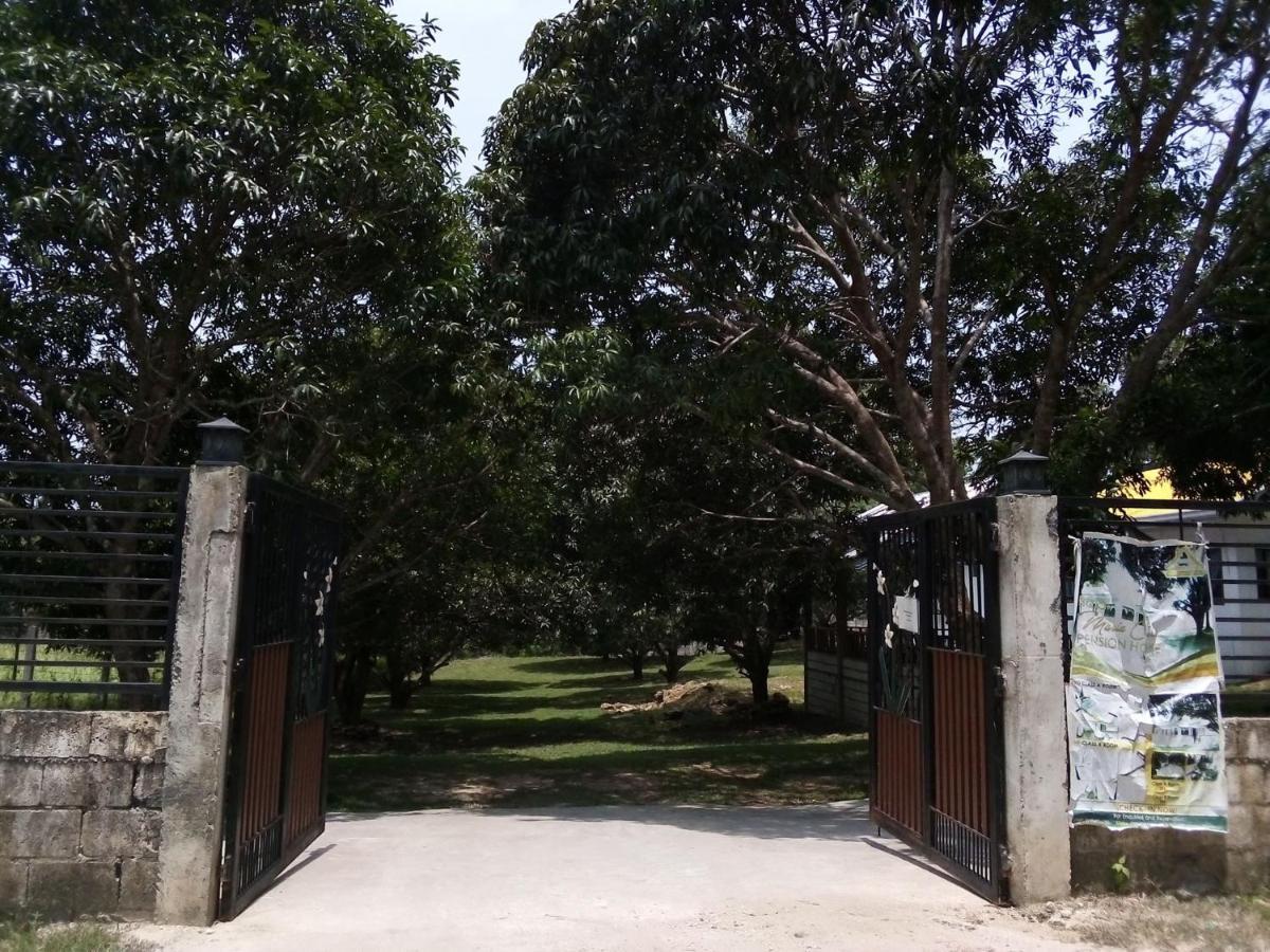 Guindulman Balai Mariacaria Pension House المظهر الخارجي الصورة