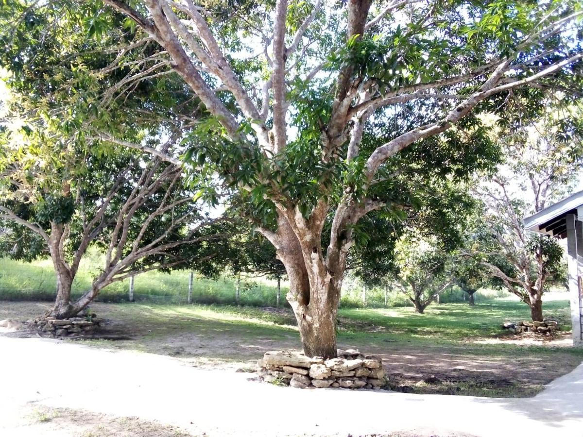 Guindulman Balai Mariacaria Pension House المظهر الخارجي الصورة