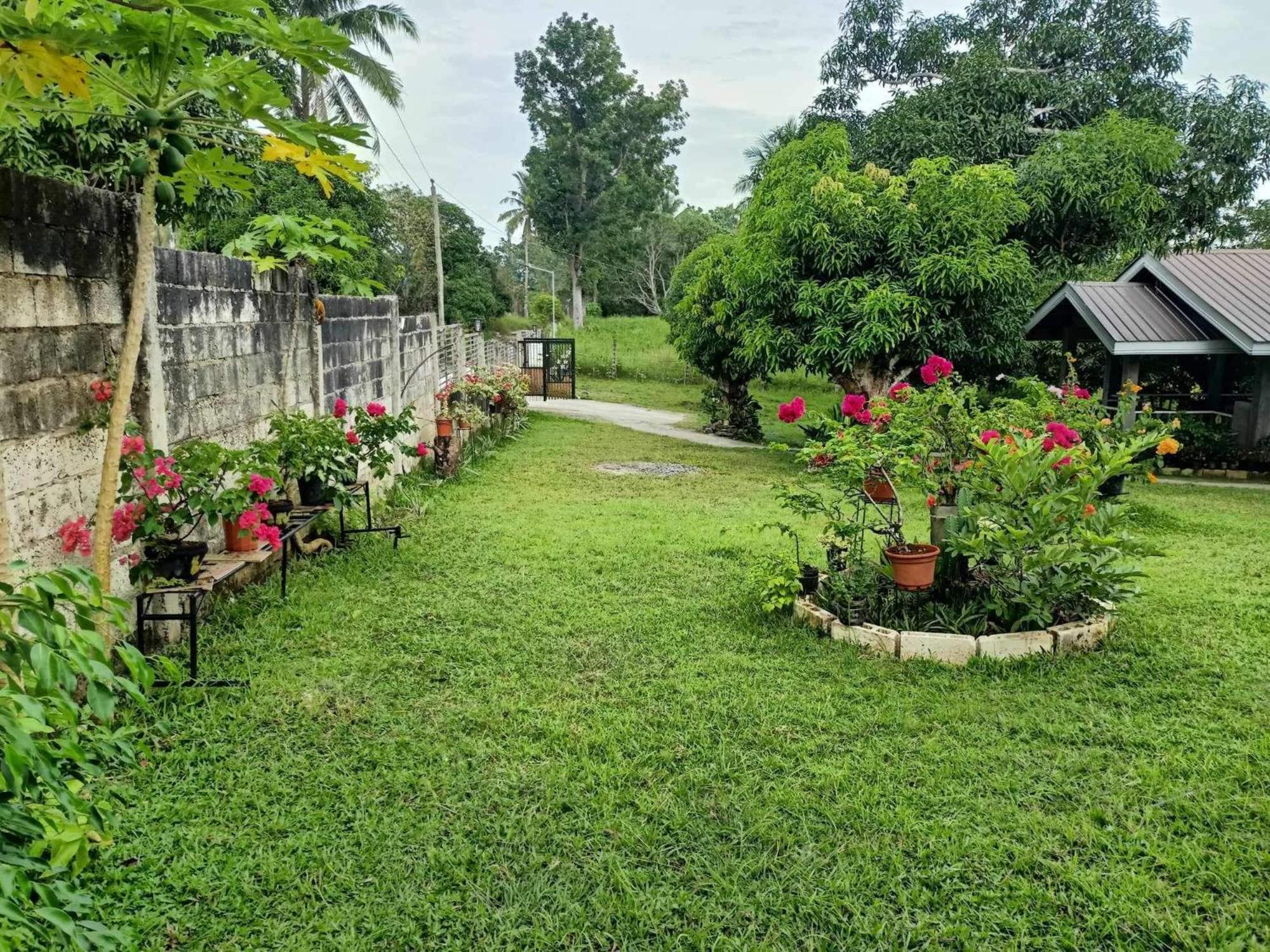 Guindulman Balai Mariacaria Pension House المظهر الخارجي الصورة